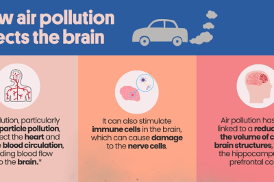 How does air pollution impact the brain’s Alzheimer’s risk?