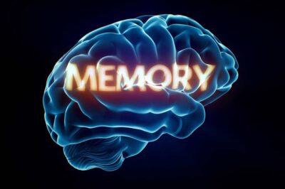 Five Exercises to Boost Your Memory